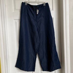 Ann Taylor Blue Button-Front Garment